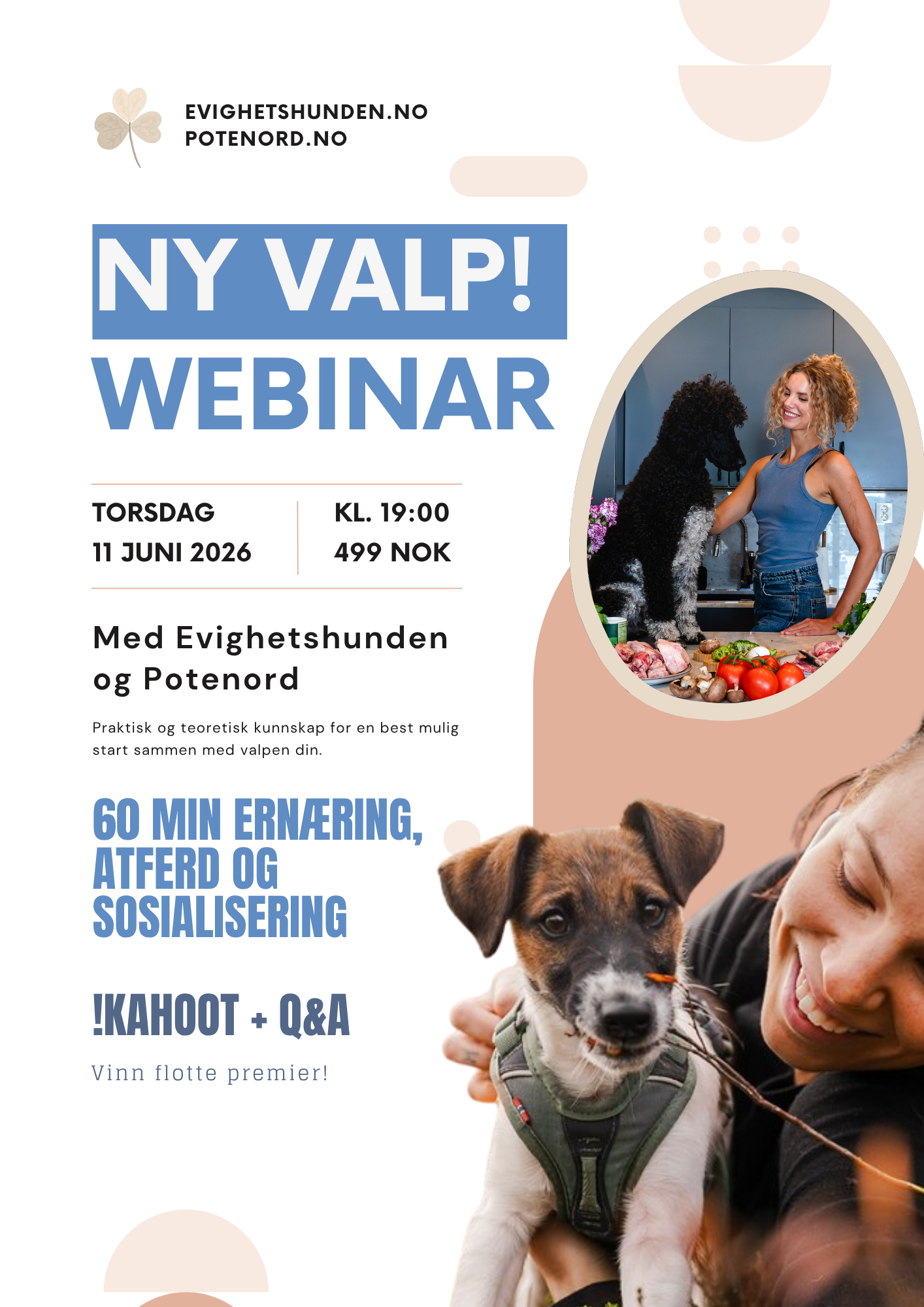 Webinar: