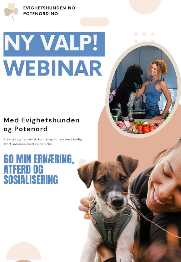 On-demand webinar: Ny valp!