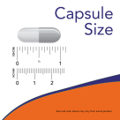 L-Carnitine 500 mg